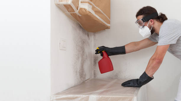 Professional Mold Remediation technician working in Hampton, IL